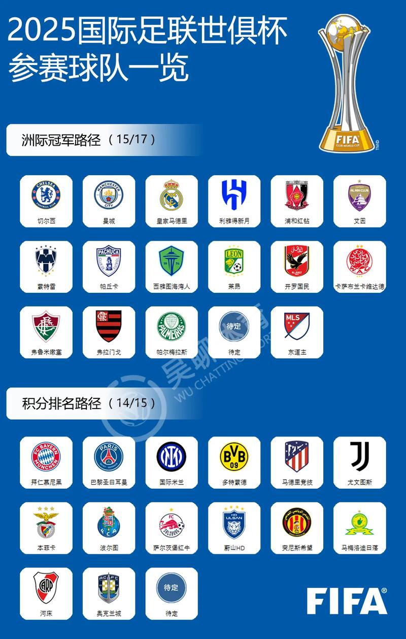 巴西球隊(duì)世俱杯戰(zhàn)績_2025年世俱杯五大聯(lián)賽球隊(duì)表現(xiàn)_世俱杯賽程2025